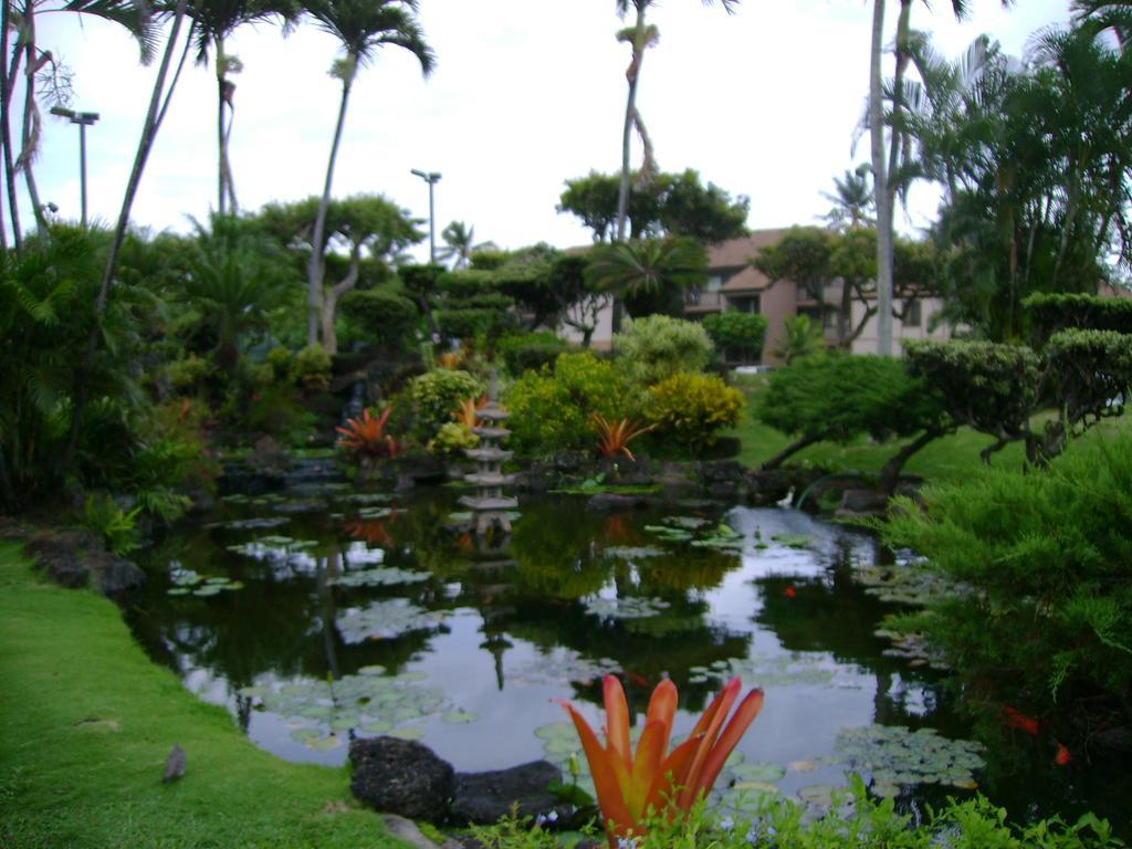 Pono Kai Resort By Bluegreen Kauai Dış mekan fotoğraf